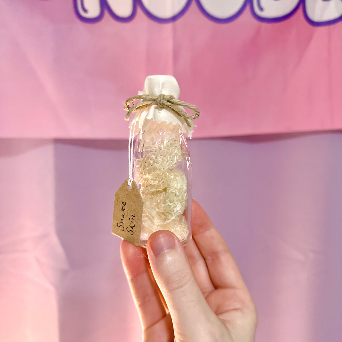 Real Snake Shed Curio Bottles