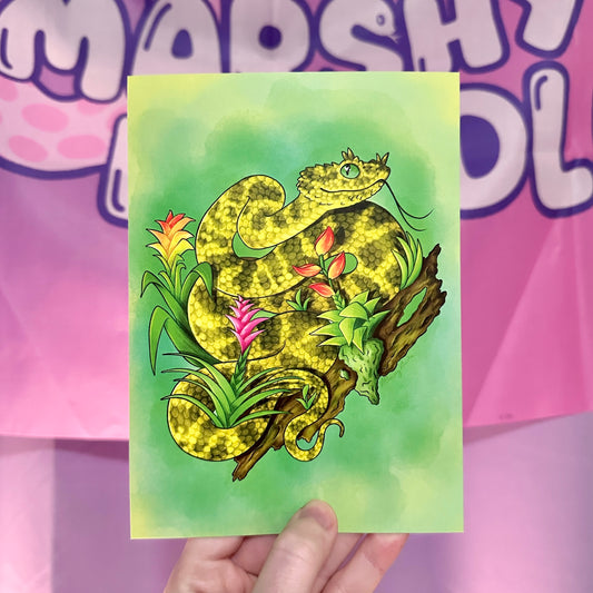 Eyelash Viper with Bromeliads Art Print