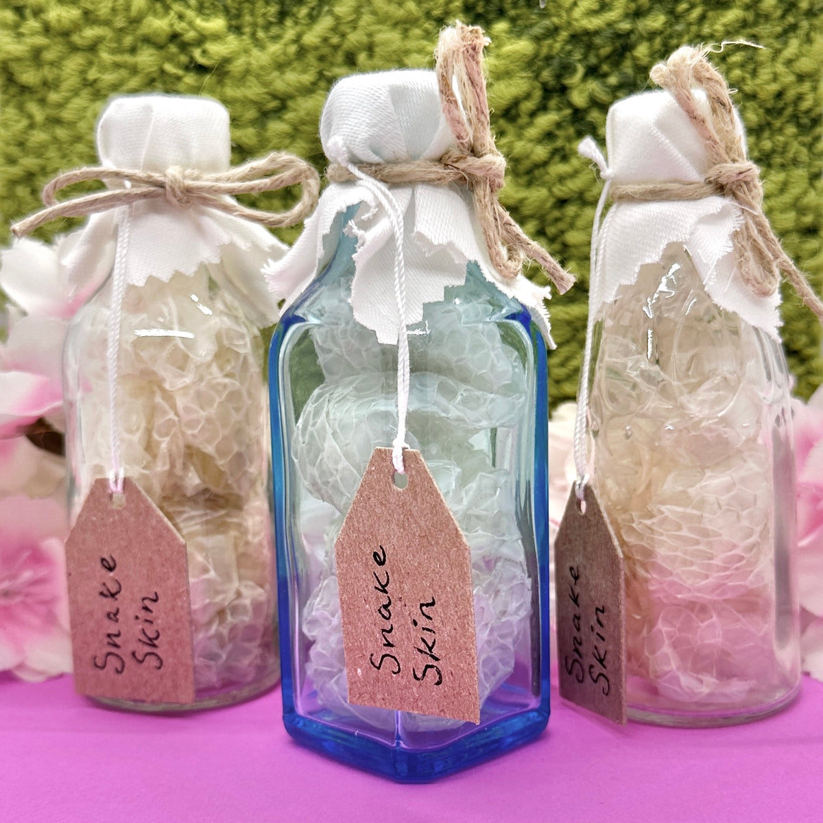 Real Snake Shed Curio Bottles