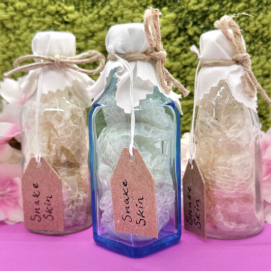 Real Snake Shed Curio Bottles